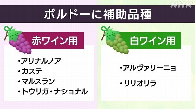 ★ボルドに新種.jpg