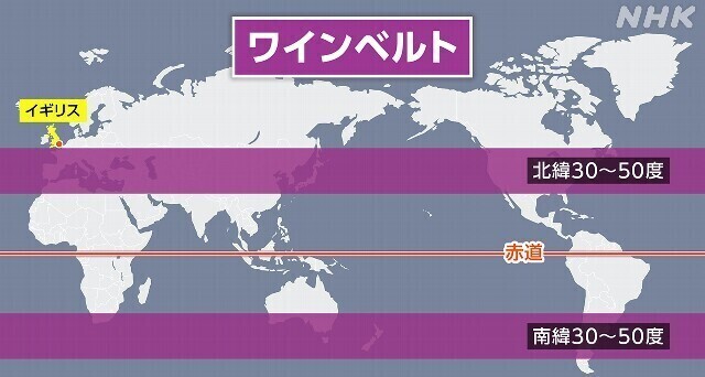 ★ワインベルト.jpg