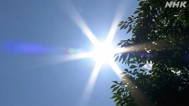 ★太陽 収穫早まる.jpg